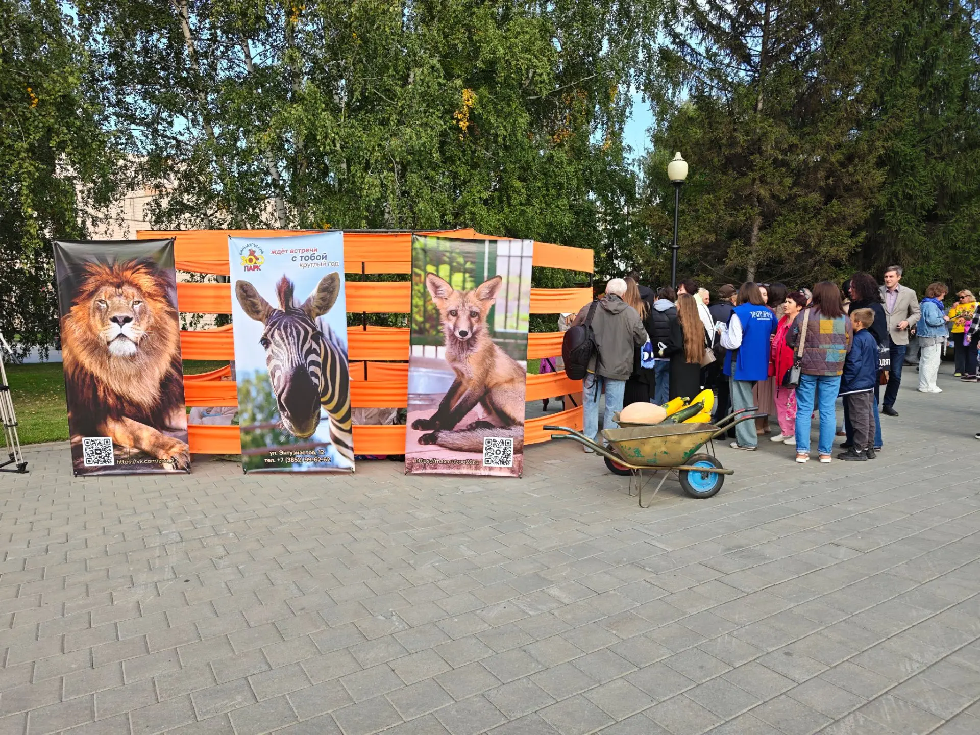 🎉 Уличный Театральный Кабачковый фестиваль: когда дача встречается с театром! 🎉