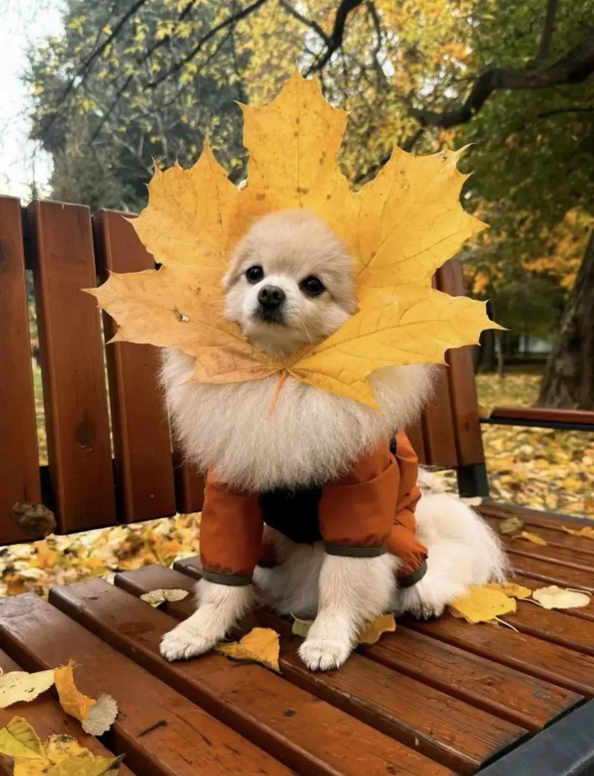 🌸 В октябре поздравляем с днём рождения:
