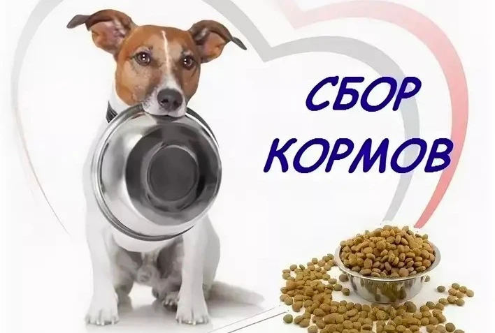 НОГИНСКИЙ ПРИЮТ ДЛЯ БЕЗДОМНЫХ ЖИВОТНЫХ НУЖДАЕТСЯ В ПОМОЩИ.
Нужен корм для животных. Давайте поможем 