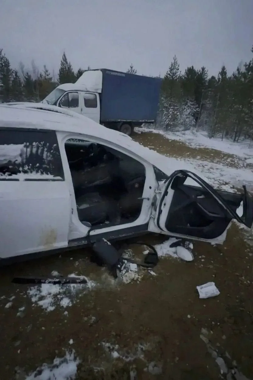❗❗❗Медведь устроил погром на парковке в Ивделе (Свердловская область).