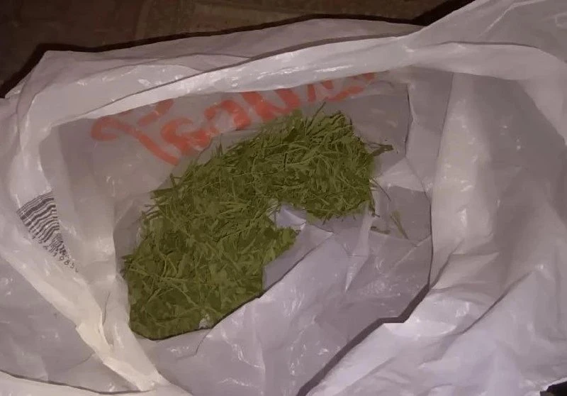 В Мариуполе полицейские изъяли более 110 граммов каннабиса у пенсионера