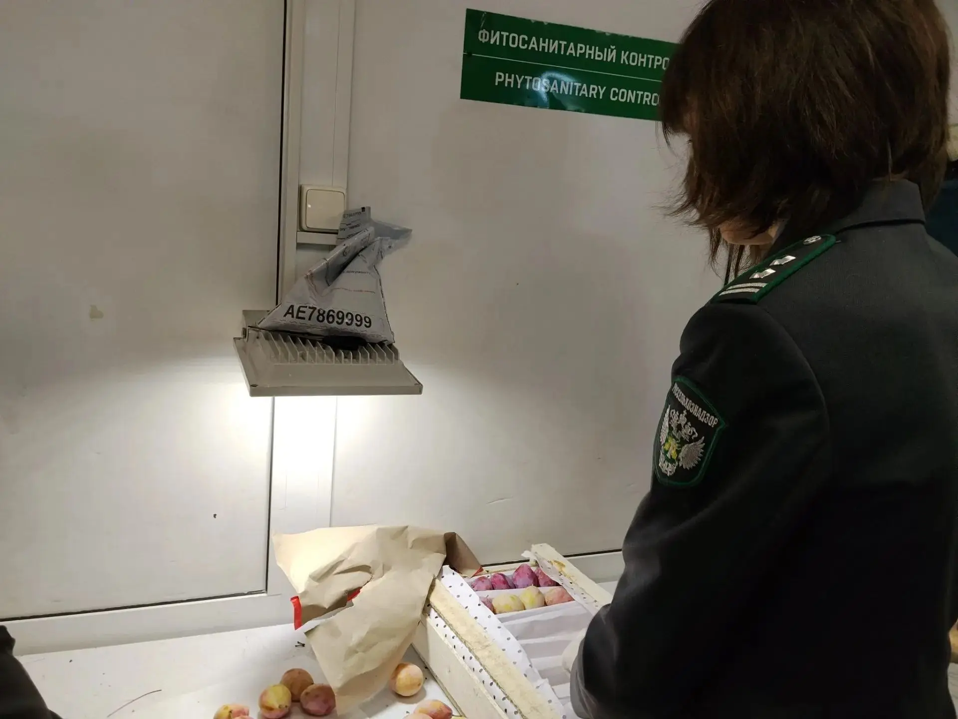 ЗАРАЖЕННЫЕ НЕКТАРИНЫ, ПРИБЫВШИЕ В ЕКАТЕРИНБУРГ, РЕШИЛИ ПОДВЕРГНУТЬ ОБЕЗЗАРАЖИВАНИЮ