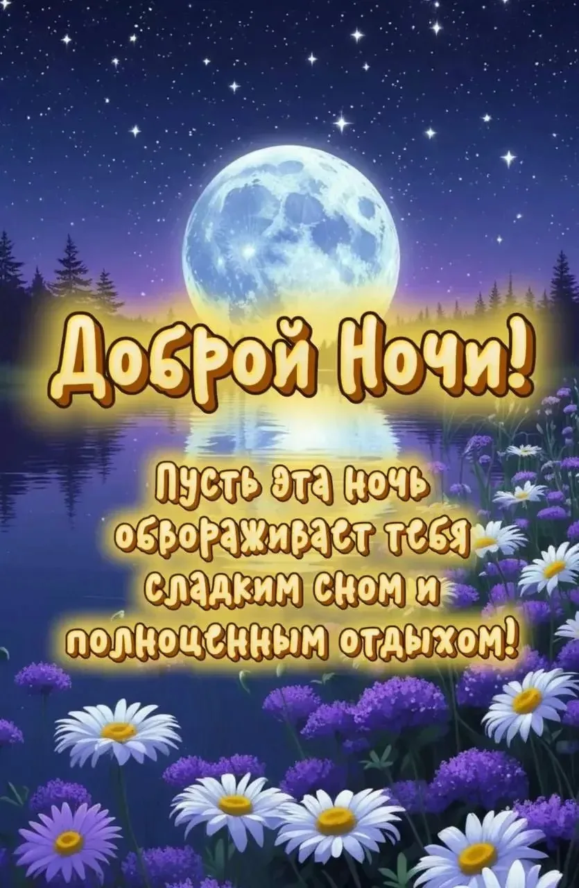 ДОБРОЙ НОЧИ ✨🌃🌙