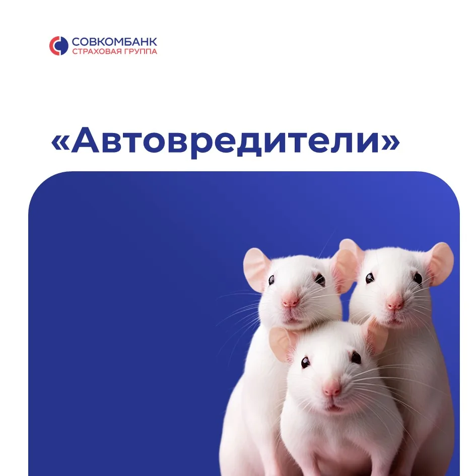 Грызуны — новые лидеры среди «автовредителей»!

По данным Совкомбанк Страхование, за 5 месяцев этого