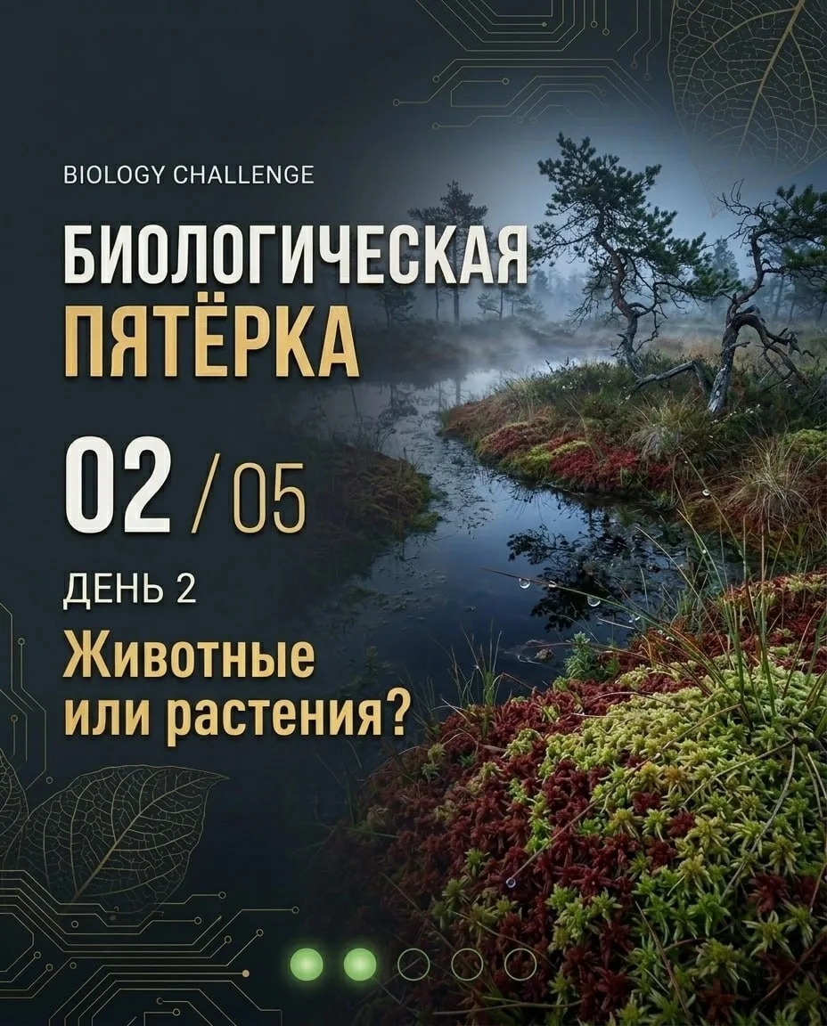 🌿 БИОЛОГИЧЕСКАЯ ПЯТЁРКА | ДЕНЬ 2