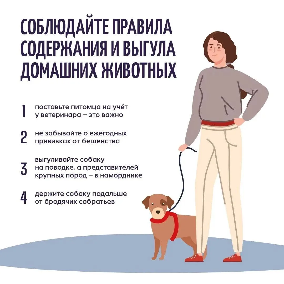 Осторожно: бешенство! 
  
Бешенство может пробраться в ваш дом под видом милого существа. Вы открыва