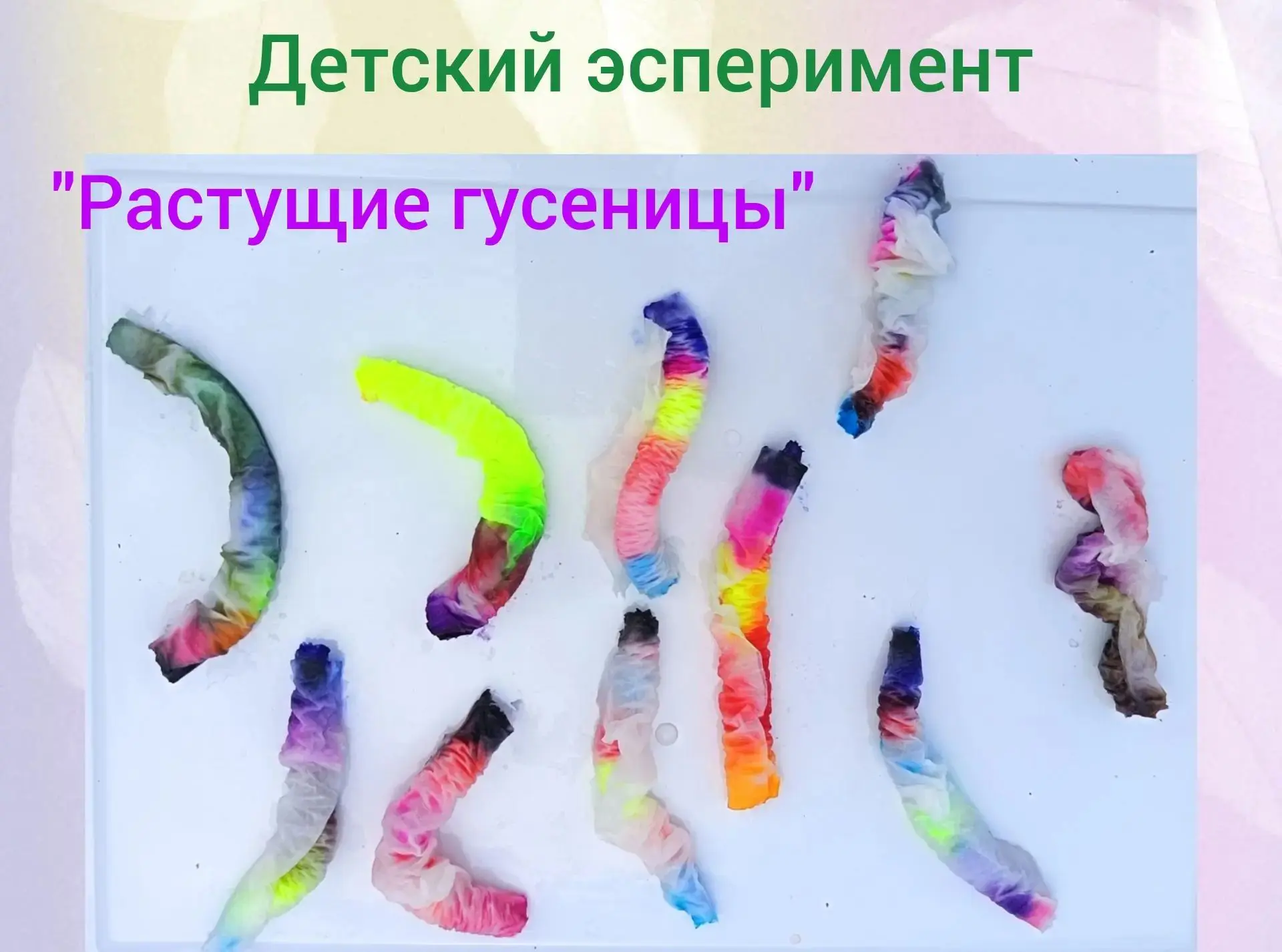 Детский эксперимент
"Растущие гусеницы"