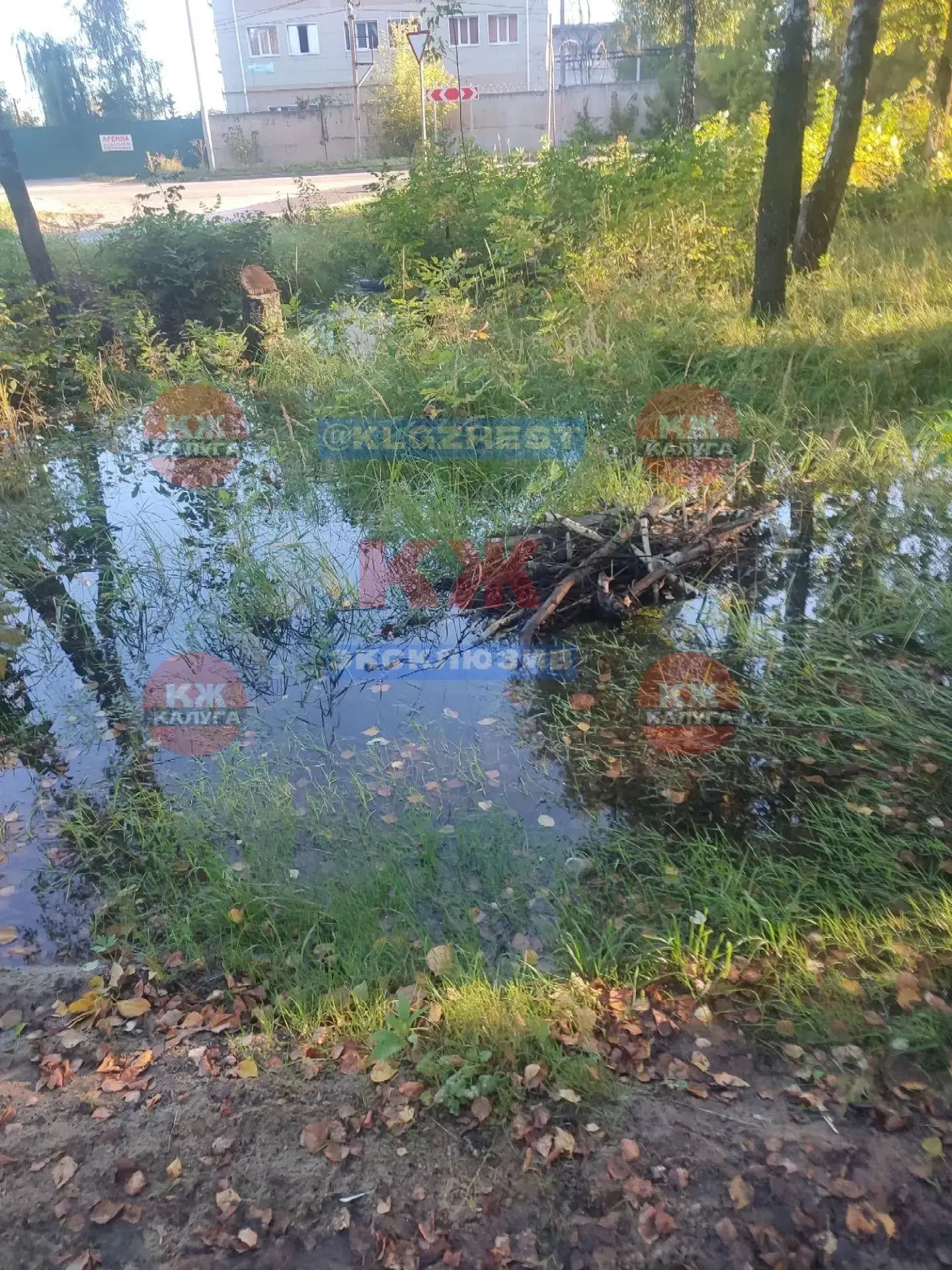 Уже 3 недели течение вода в Железняках и нет ни кому дела! Со слов жителей, жаловались ...