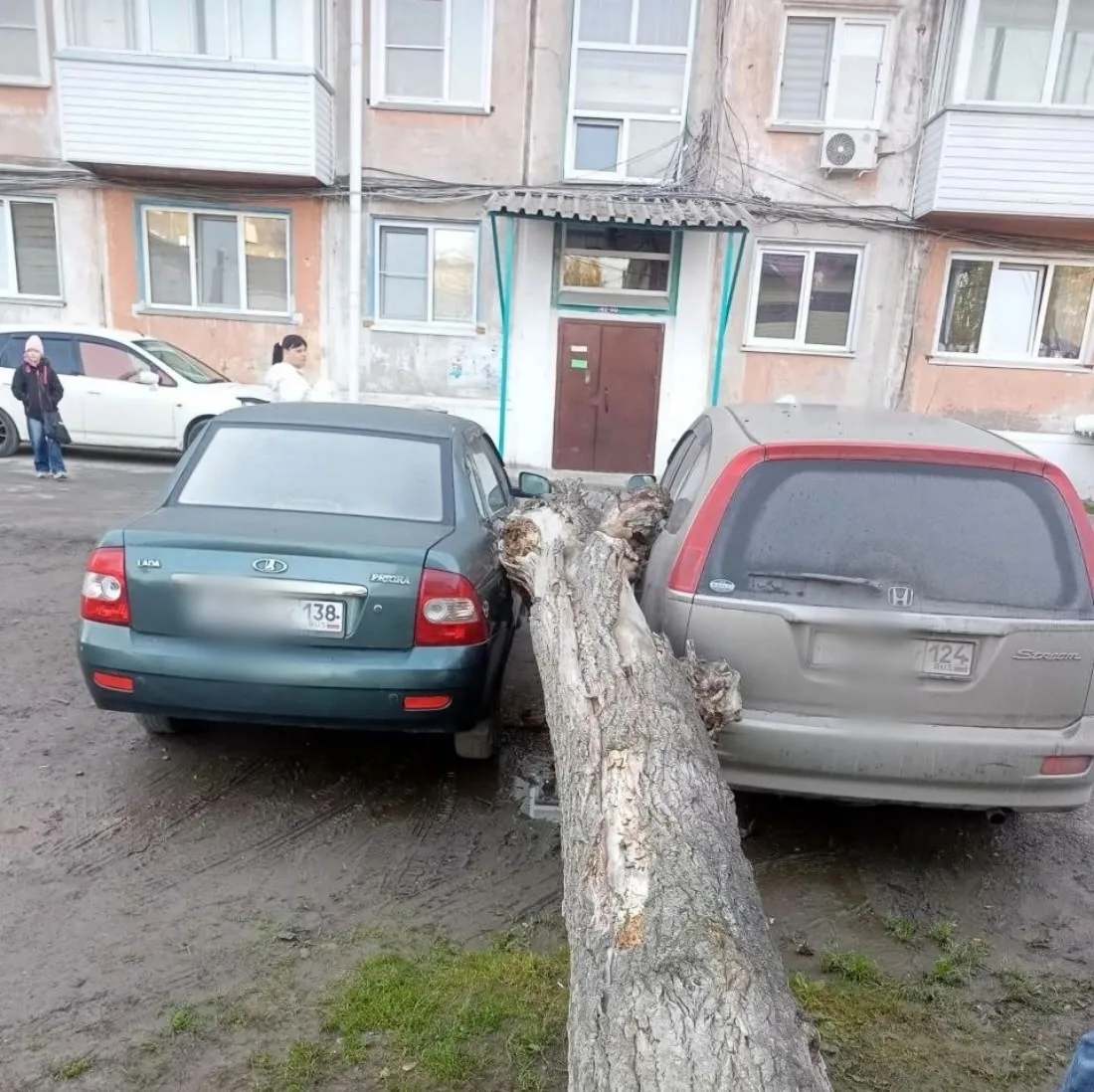 Вы наверняка уже в курсе о происшествии в первом микрорайоне где сухой тополь. раздавил...