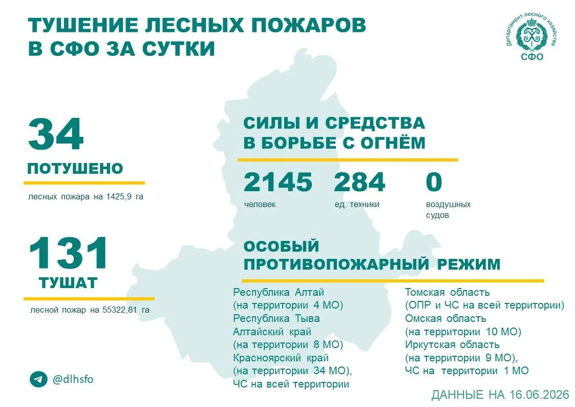 🟢За прошедшие сутки в 5 регионах Сибирского федерального округа потушили 34 лесных пожара.

🧔🚒Бор