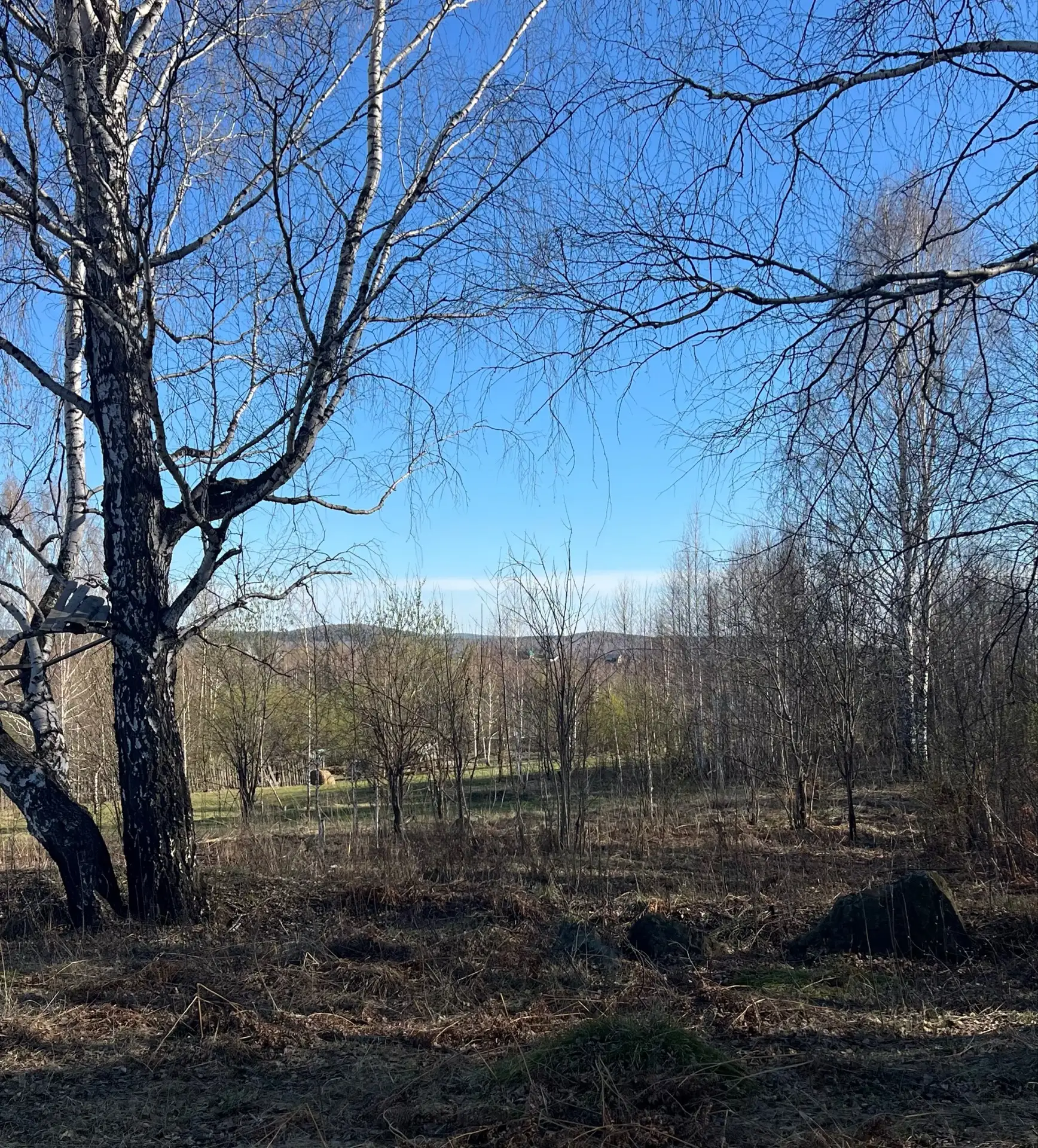 Высокий сезон в земле сейчас в полном разгаре.