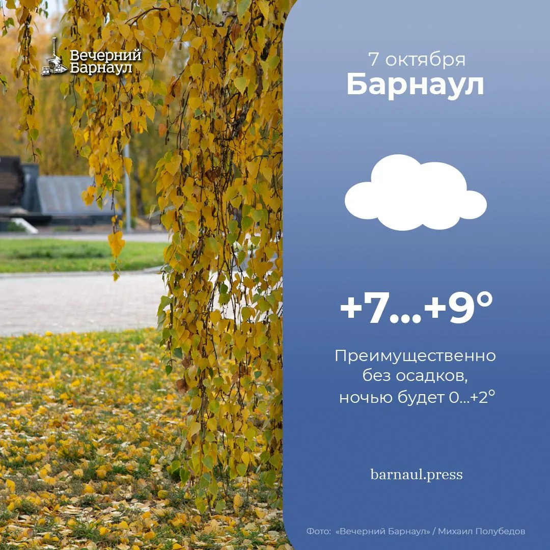 До +9 градусов будет сегодня в Барнауле.