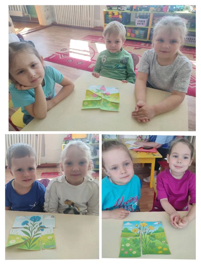 🌼 Всемирный день полевых цветов в группе «Непоседа»!  🌼🌾