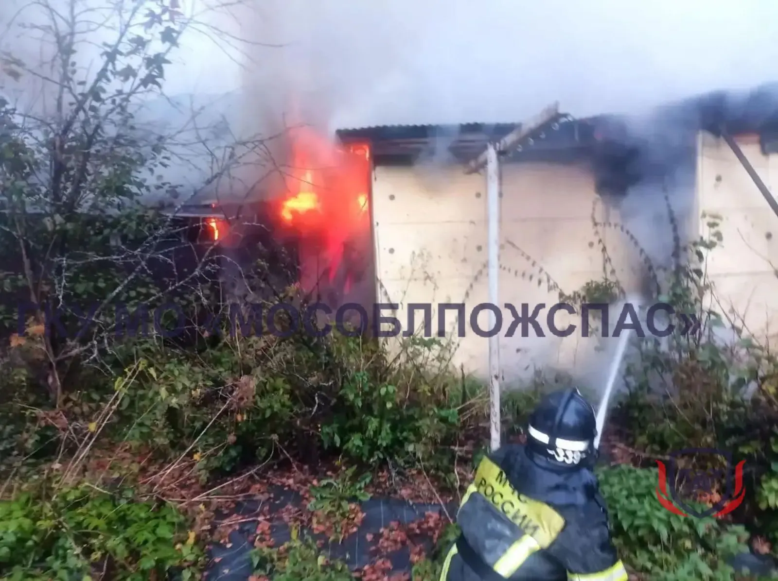 СРОЧНО! Огнеборцы тушат пожар в жилом доме ⚡️