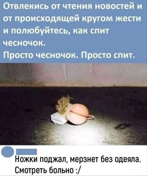 6 октября во всем мире празднуют День любителей чеснока.