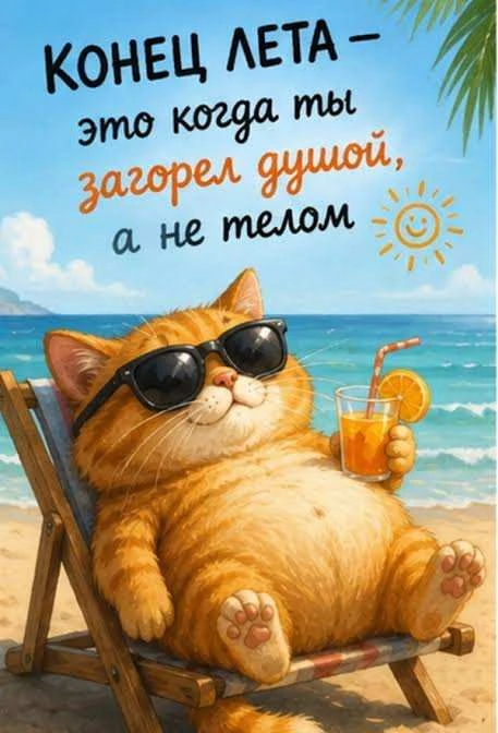 Итоги лета: коллекция мгновений