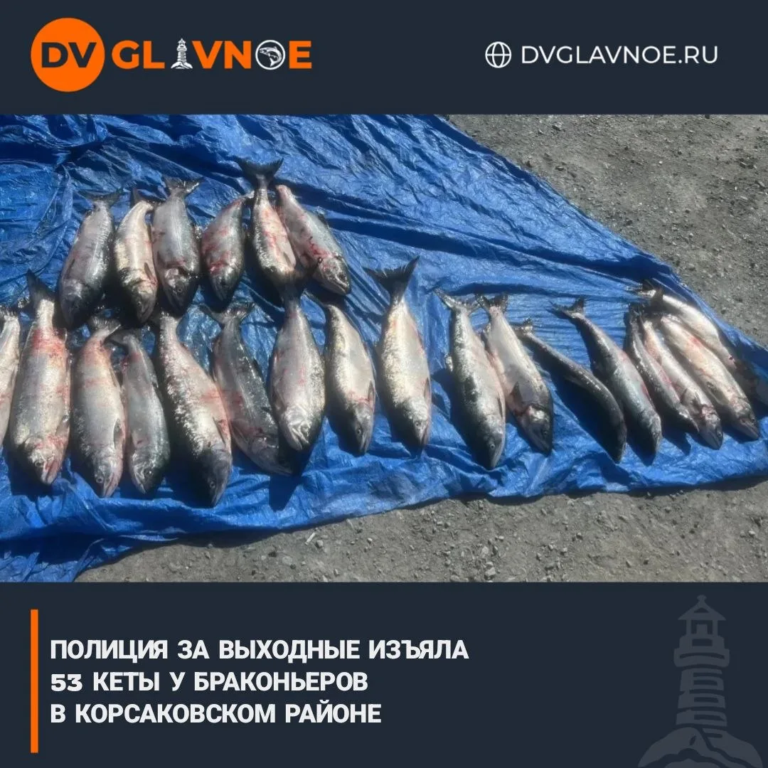 Водители внедорожников везли рыбу без документов