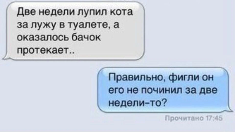 СМЕХ СКВОЗЬ ЧАТЫ