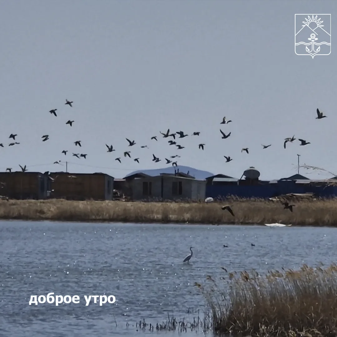 🌤Сегодня ясно  🌙Ночью +6...+7°  🌟Днем +9...+13°  💨Ветер ЮВ слабый с порывами до 4 м/с.   🌤Завтра обл