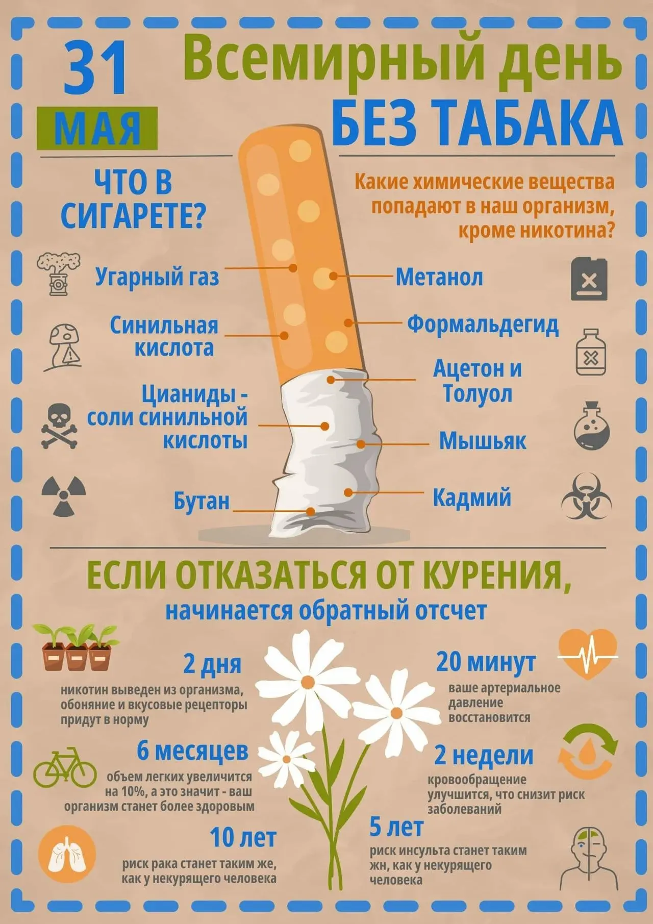 С 25 по 31 мая 2026 года в России проходит "Неделя отказа от табака" (В честь Всемирного дня без таб
