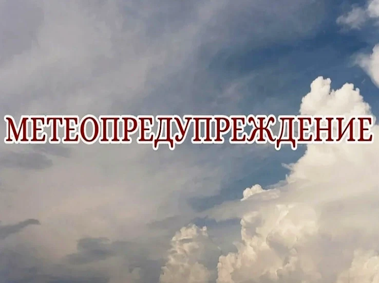 В здании физкультурно-оздоровительного комплекса поселка Куркино состоялся военно-патри...