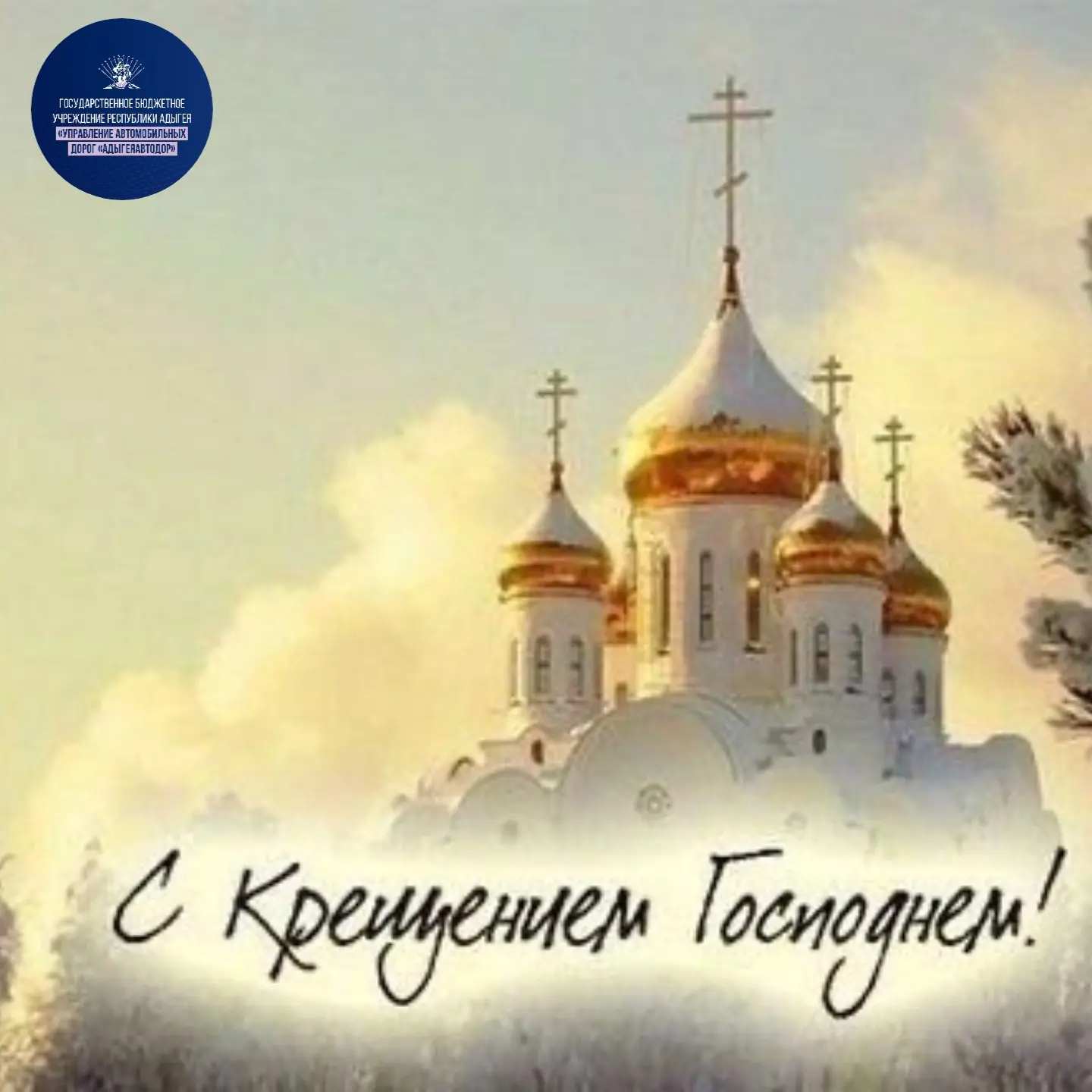 Дорогие друзья! ✨