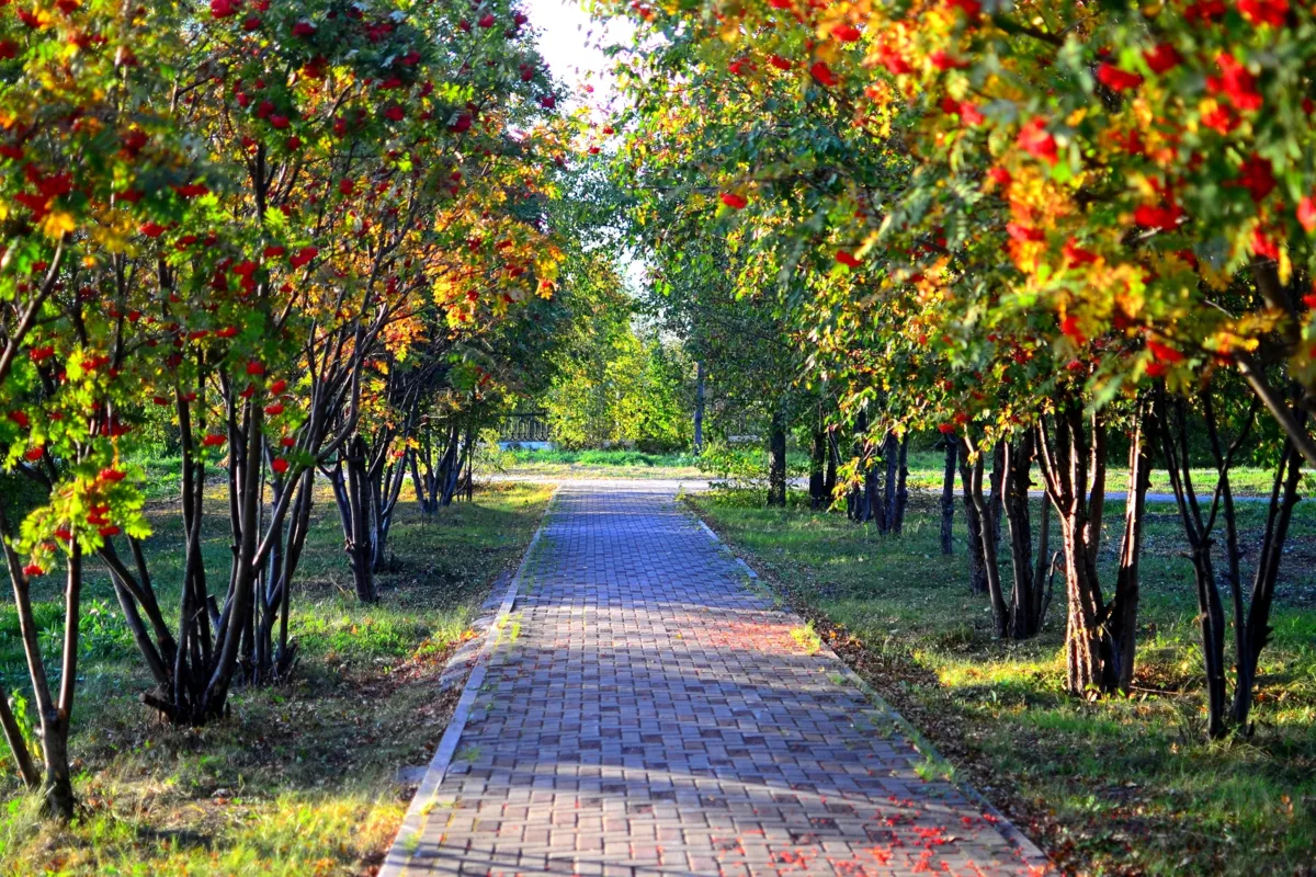 Октябрь начинается красиво 🍂