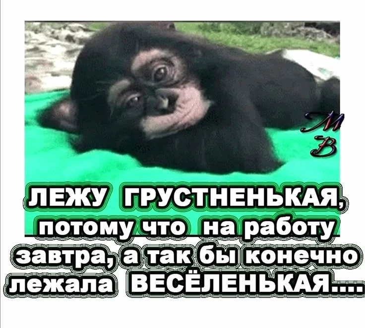 - 🌺 Понравилась открытка — нажмите реакцию и сделайте чей‑то день светлее ❤