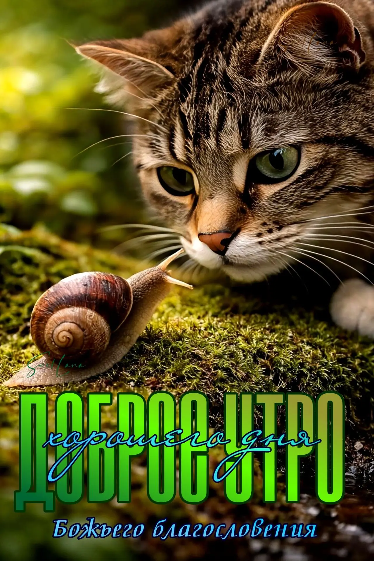 ЖИВЫЕ ОТКРЫТКИ🫶🏻
Подпишись👈