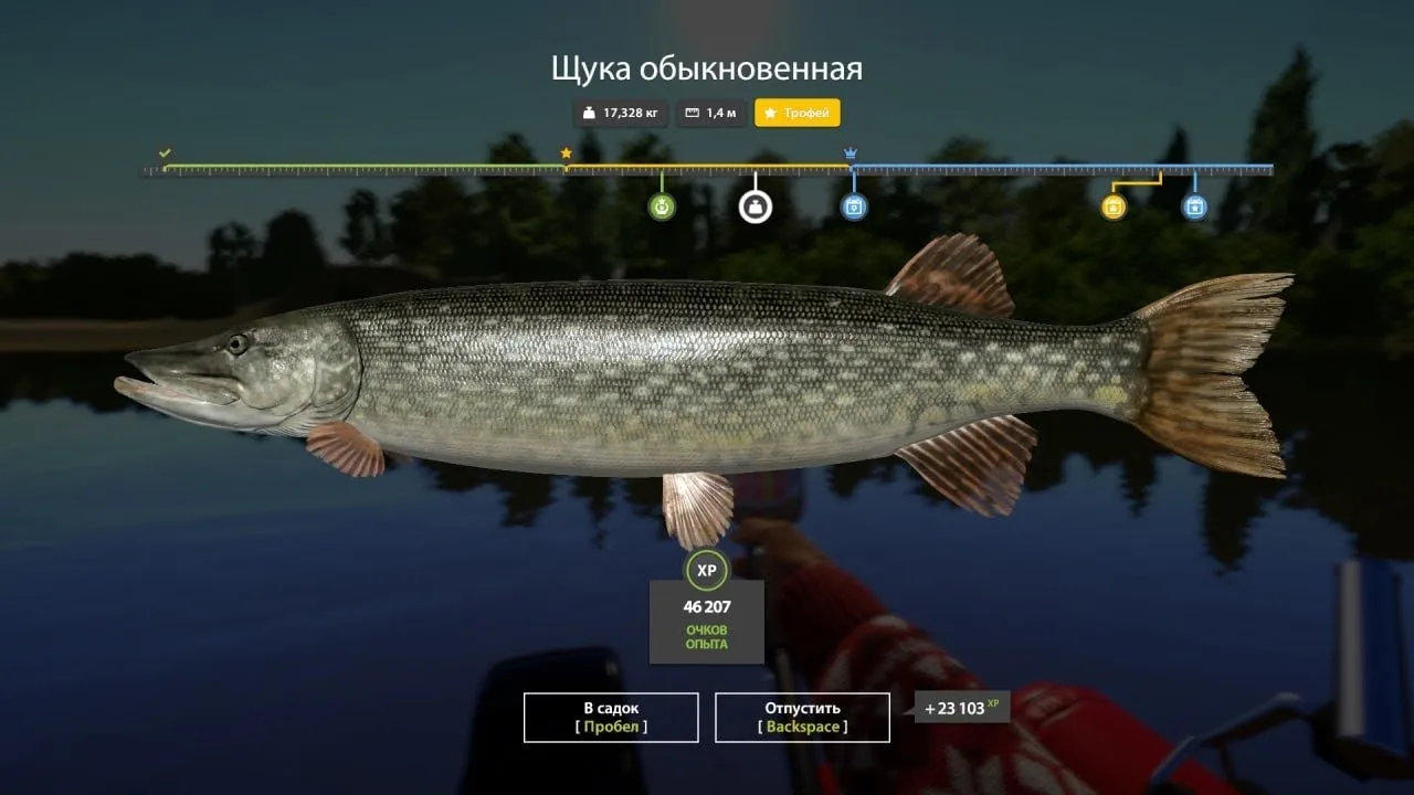 #сура