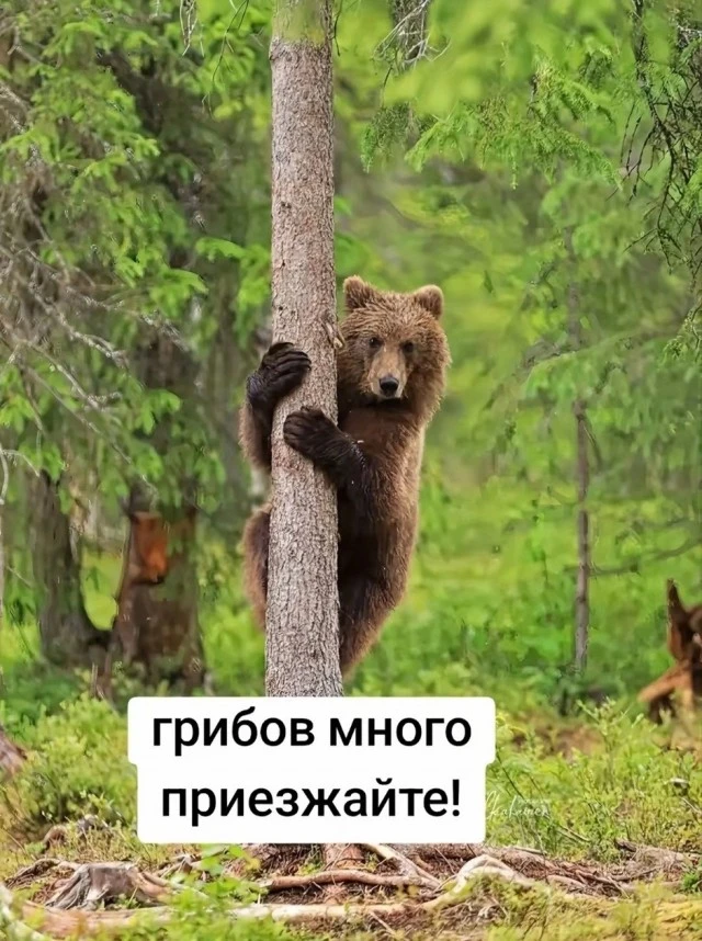 Доброе утро, котятки!😍