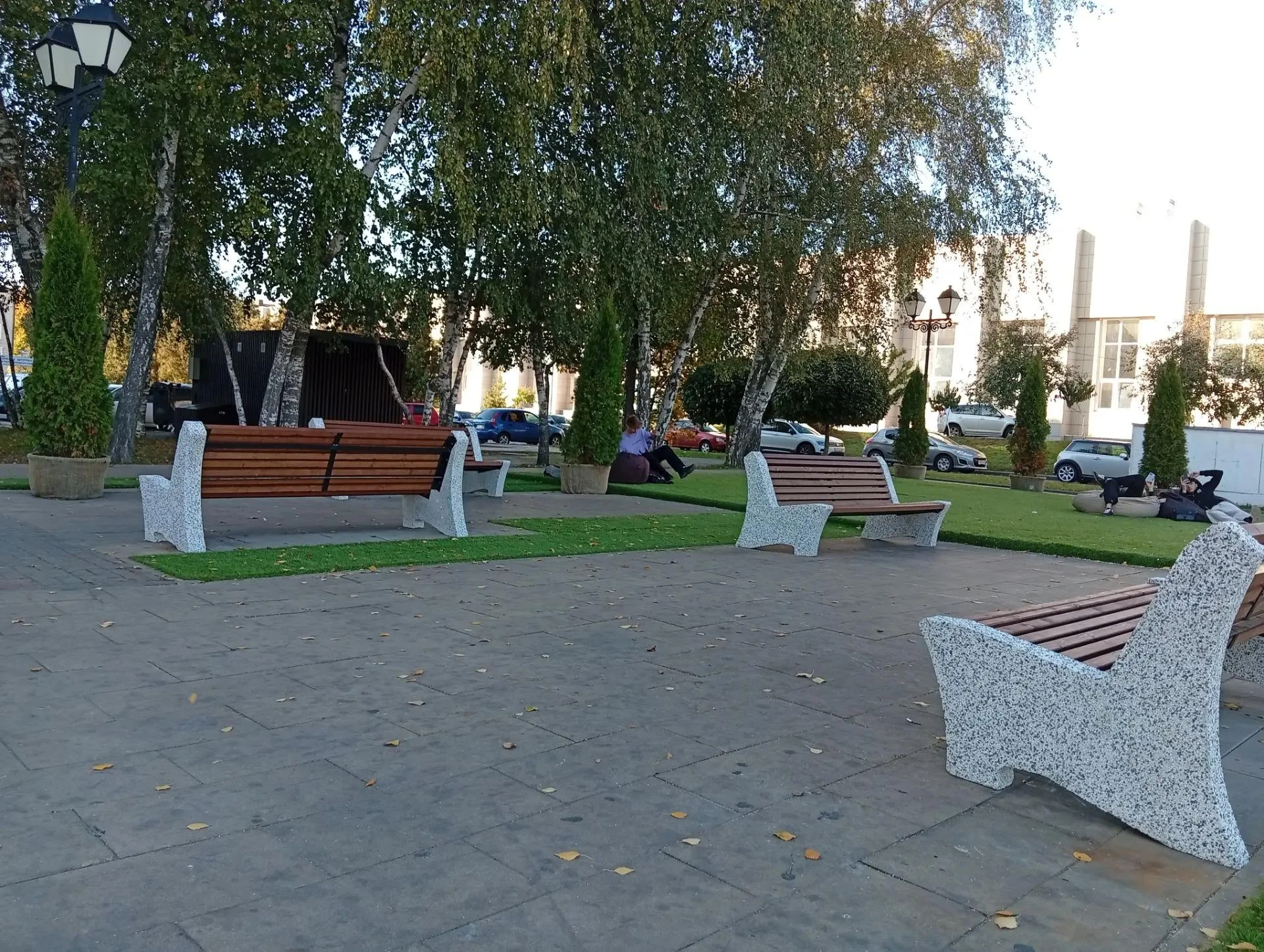 Более 20 новых скамеек установят на Театральной площади