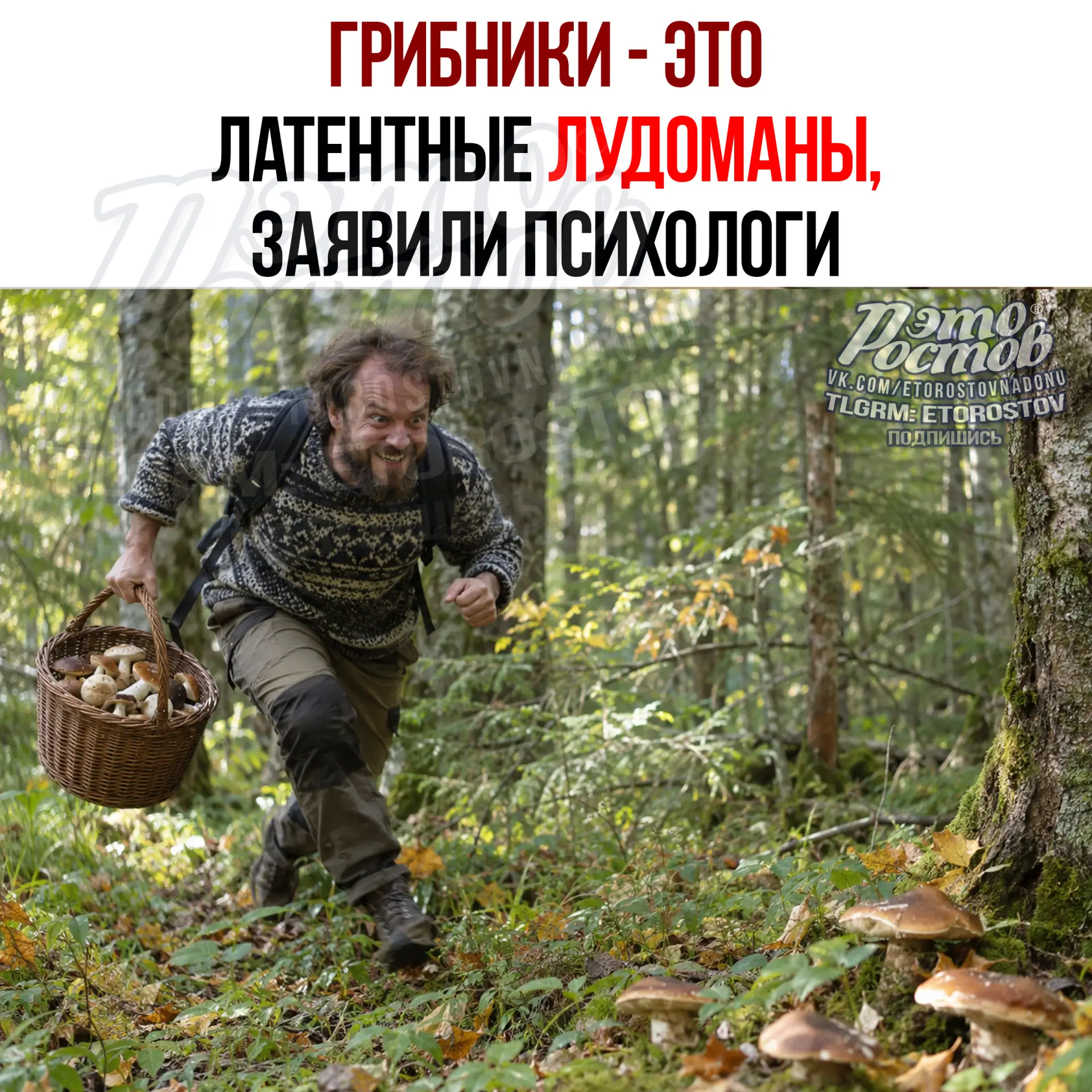 🍄 Грибники — латентные лудоманы, заявили психологи
