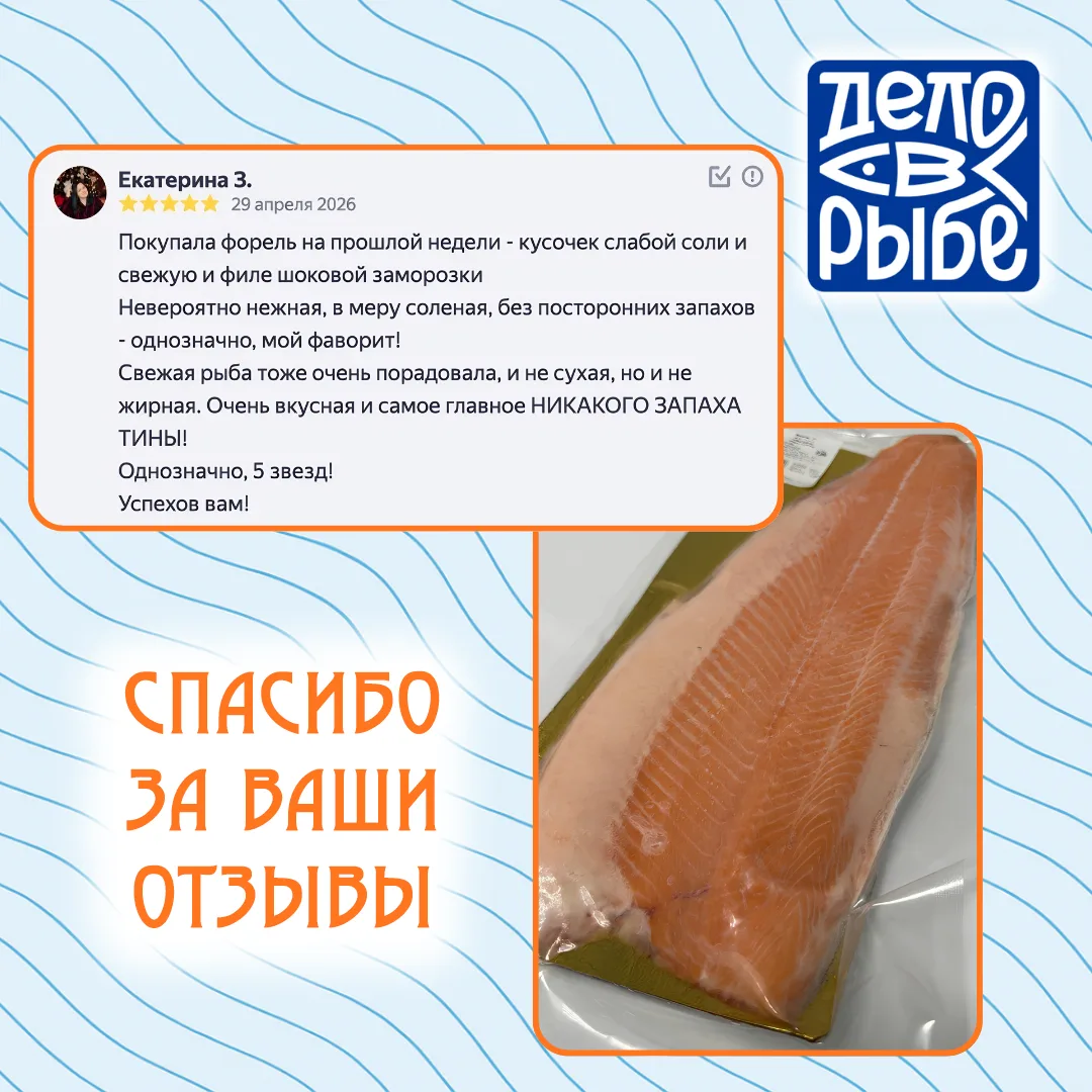 🐟 Ваши отзывы — наша главная награда