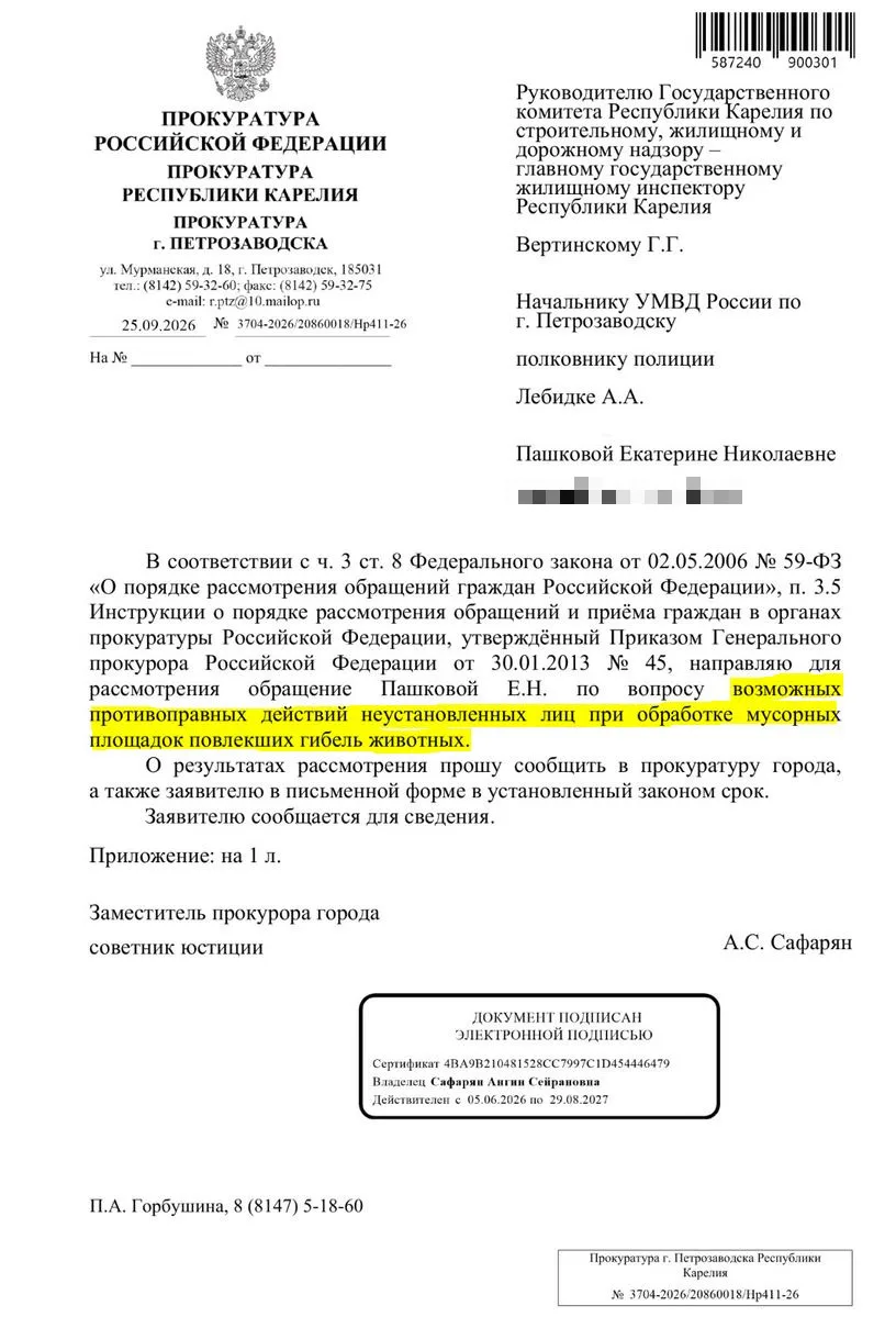 Полиция и прокуратура выясняют, почему собаки массово отравились в Петрозаводске