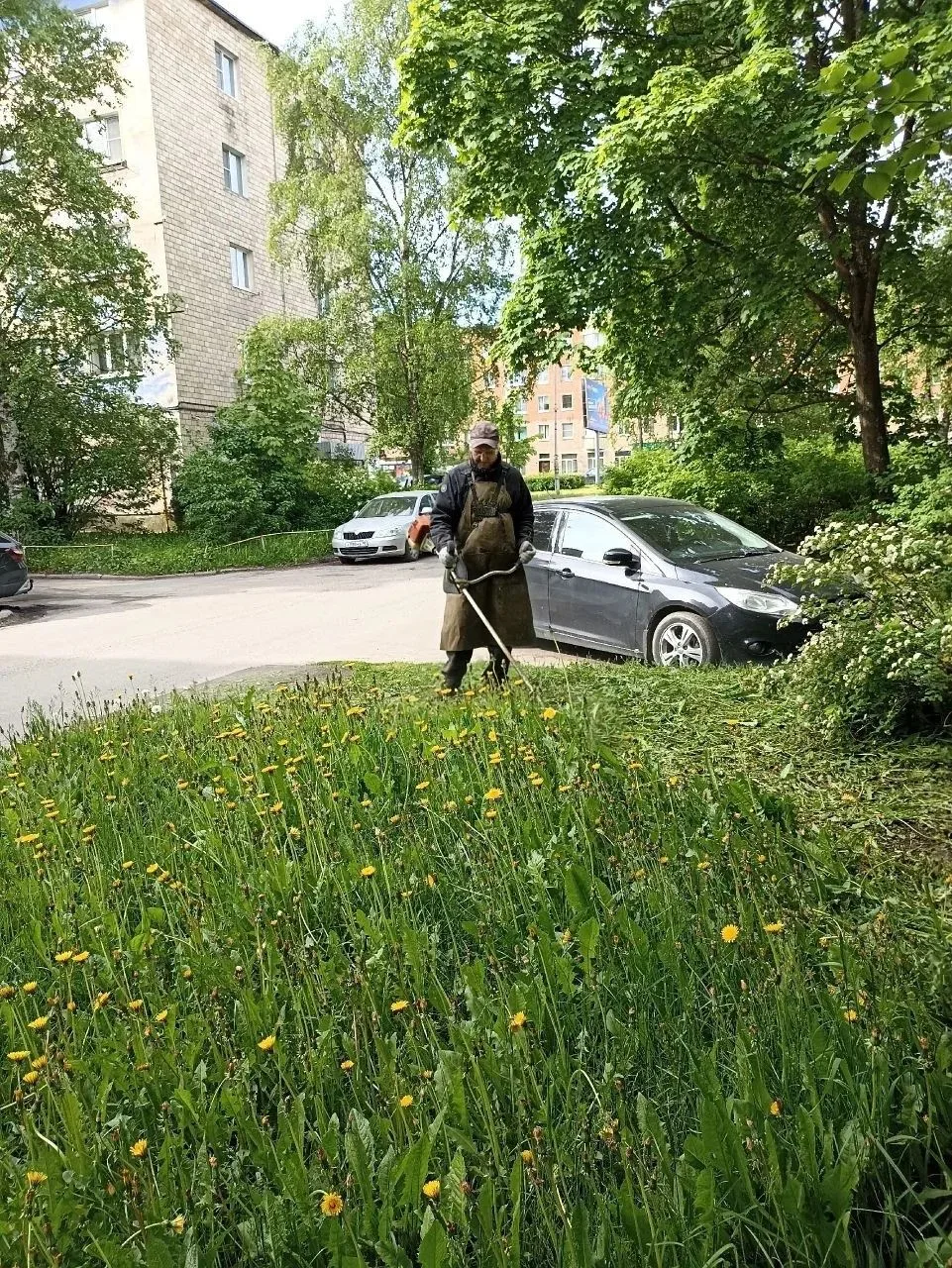 🏬В рамках весенне-летних мероприятий по уходу за озеленёнными территориями продолжаютс...