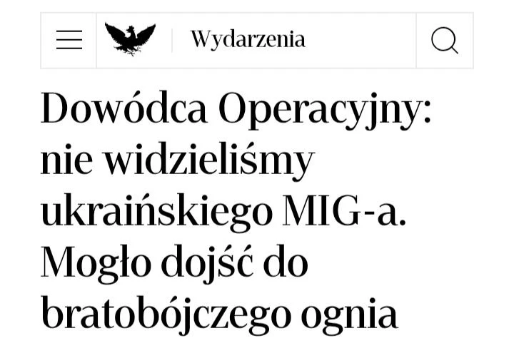 Rzeczpospolita пишет, что поляки едва не сбили бандеровский МиГ-29.