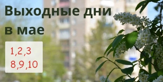 ✅Рабочие дни: 4, 5, 6 и 7 мая мы будем рады видеть вас с 9:00 до 16:00.