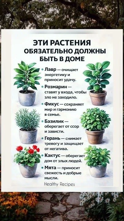 Домашний ботаник🪴