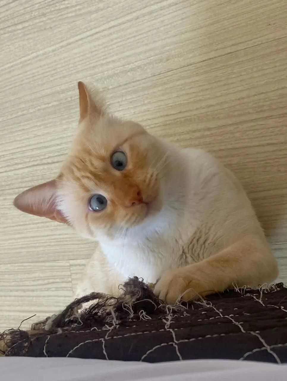 Сколько можно завтрак ждать?