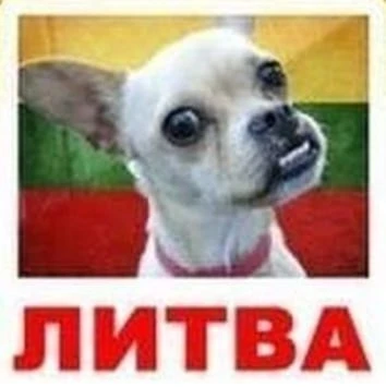 Литва направляет до 100 солдат для усиления охраны границы с Калининградской областью Р...