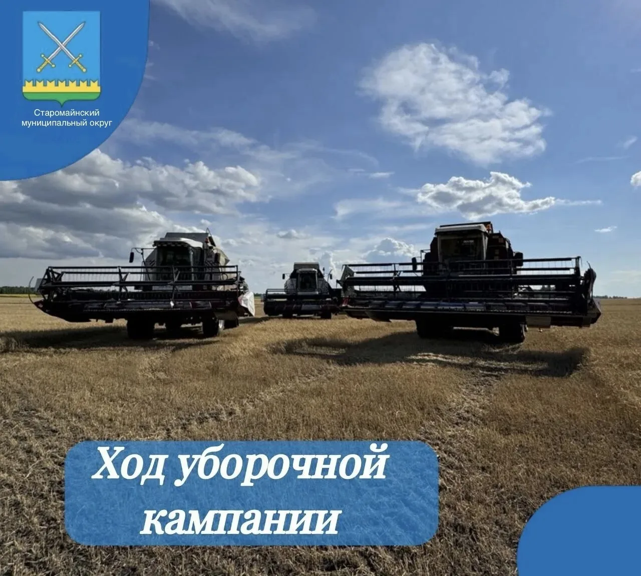 Сводка с полей на 6 августа🌻