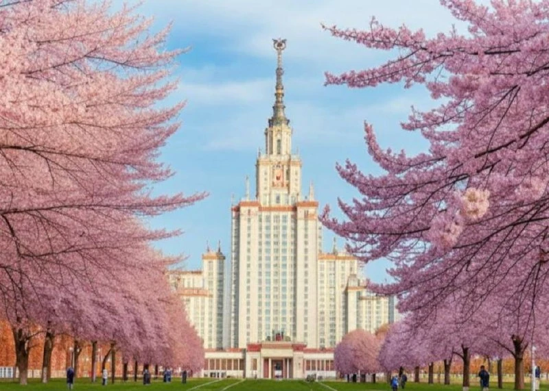 Топ мест, где цветет сакура  В столице уже распустились первые бутончики сакуры, а к маю вы сможете 