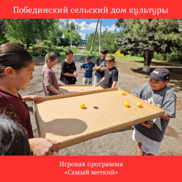 Игровая программа «Самый меткий» — это соревновательный конкурс на точность и координацию.
Суть прог