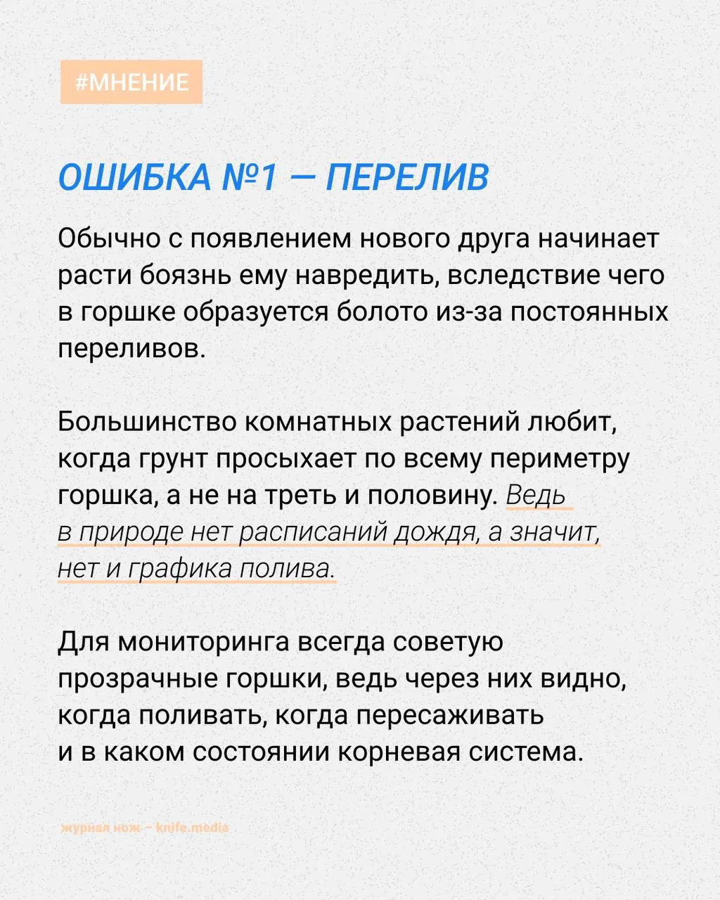 На вашем подоконнике уже стоят замиокулькасы? 

Если нет, возможно, самое время завести пару комнатн