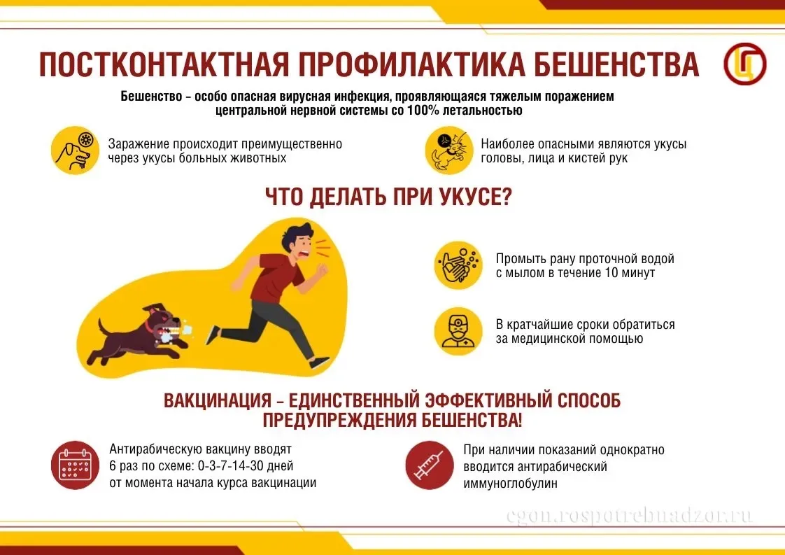 Прививки питомцам от бешенства Бешенство – неизменно смертельное вирусное заболевание для животных и