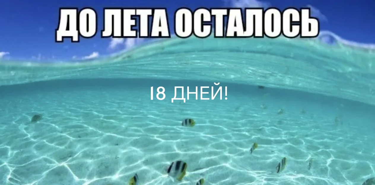 Майские праздники позади — а впереди один из самых напряжённых отрезков учебного года.