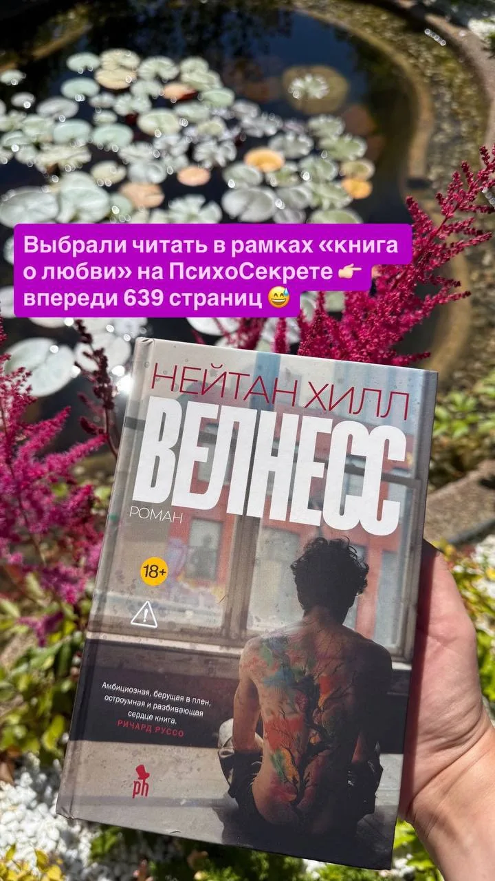 Изображение 2 к публикации «Vesperfin»