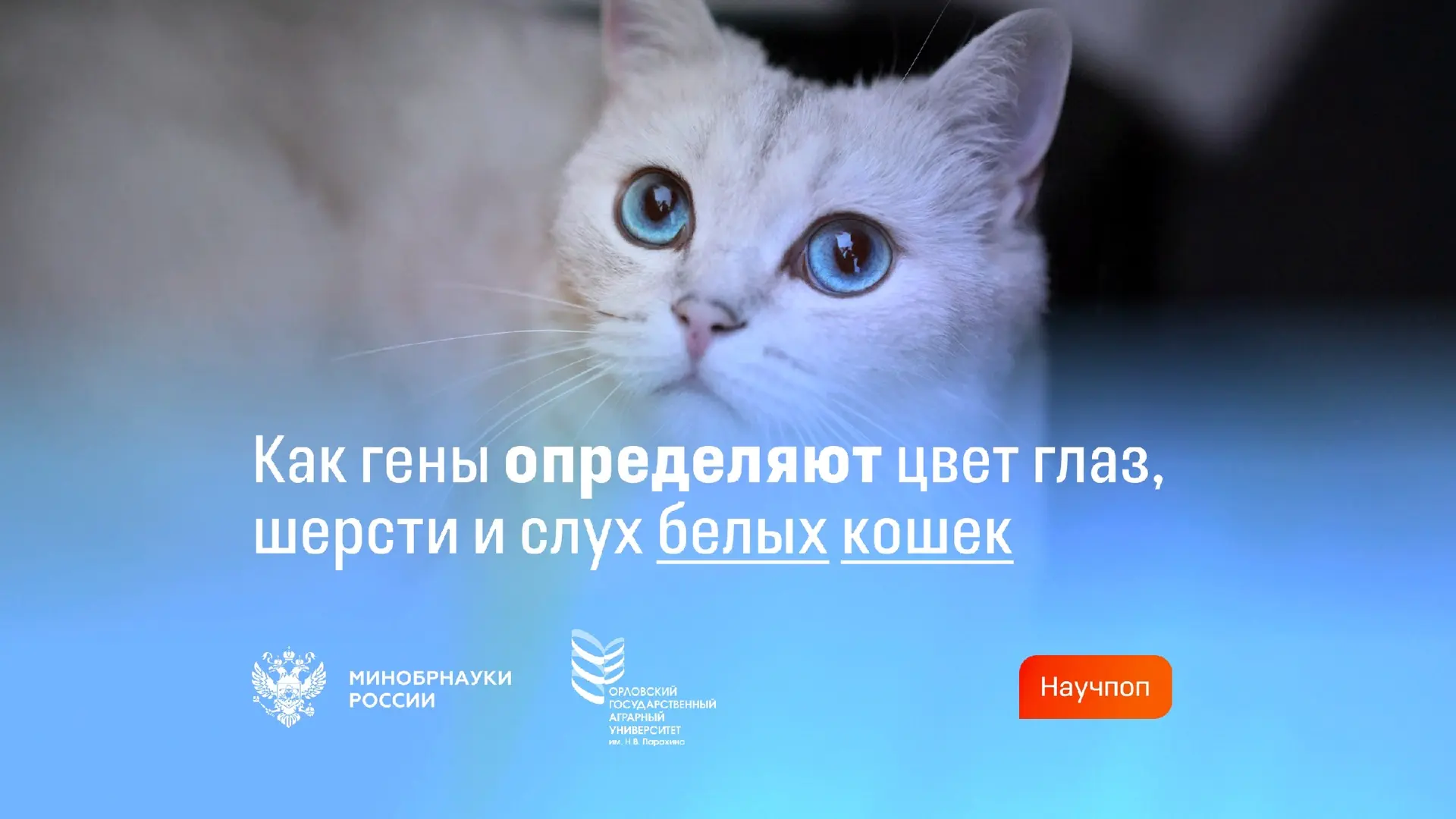 📚 На канале Дзена Минобрнауки вышла новая статья кандидата биологических наук, старшег...