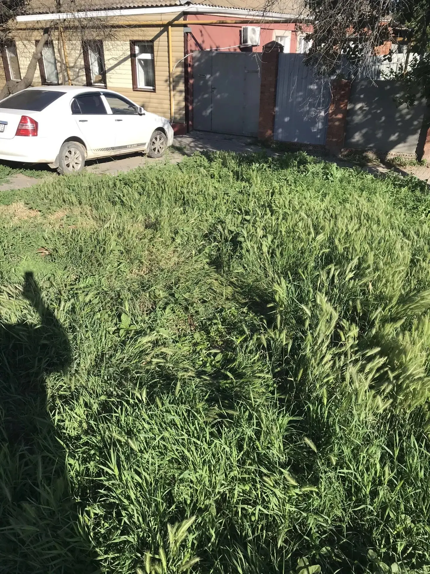 Начало новой рабочей недели – продолжение работ по наведению санитарного порядка на ули...